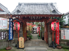 �z�^���̖�
