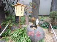 �S�萬�A�̐�