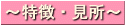 特徴・見所